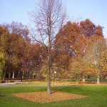 Kehrwoche Schlosspark Stuttgart 2012