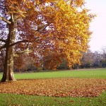 Kehrwoche Schlosspark Stuttgart 2012