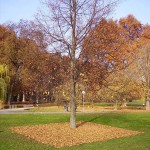 Kehrwoche Schlosspark Stuttgart 2012