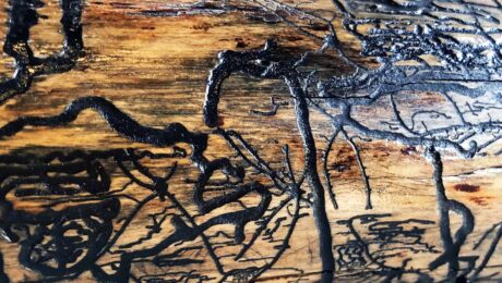 DESSIN Zentralschweiz. Pendant